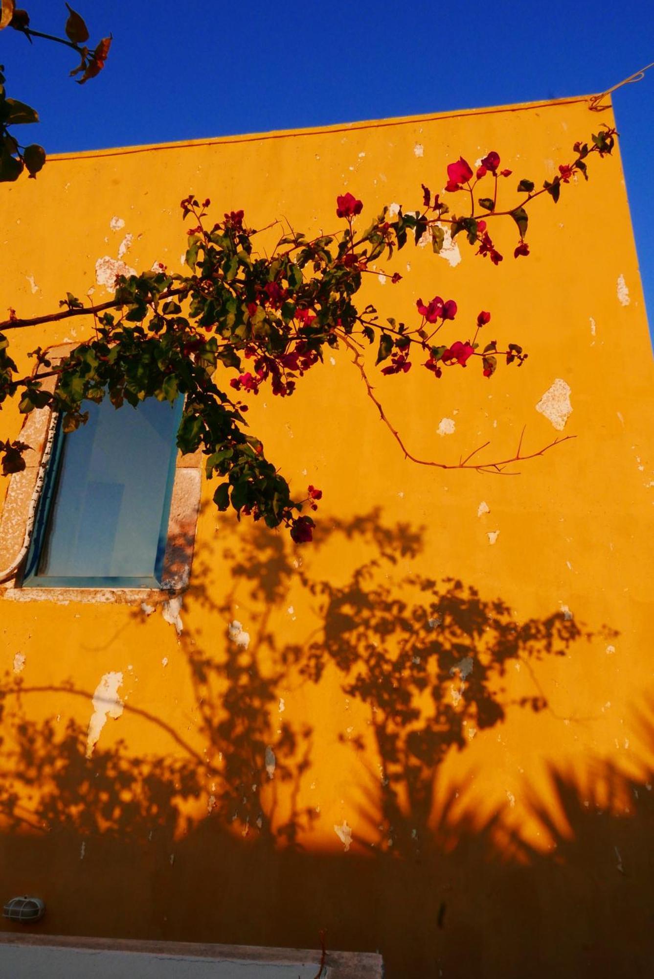 Villa Elegeo Rockhouse Agia Marina  Exterior foto