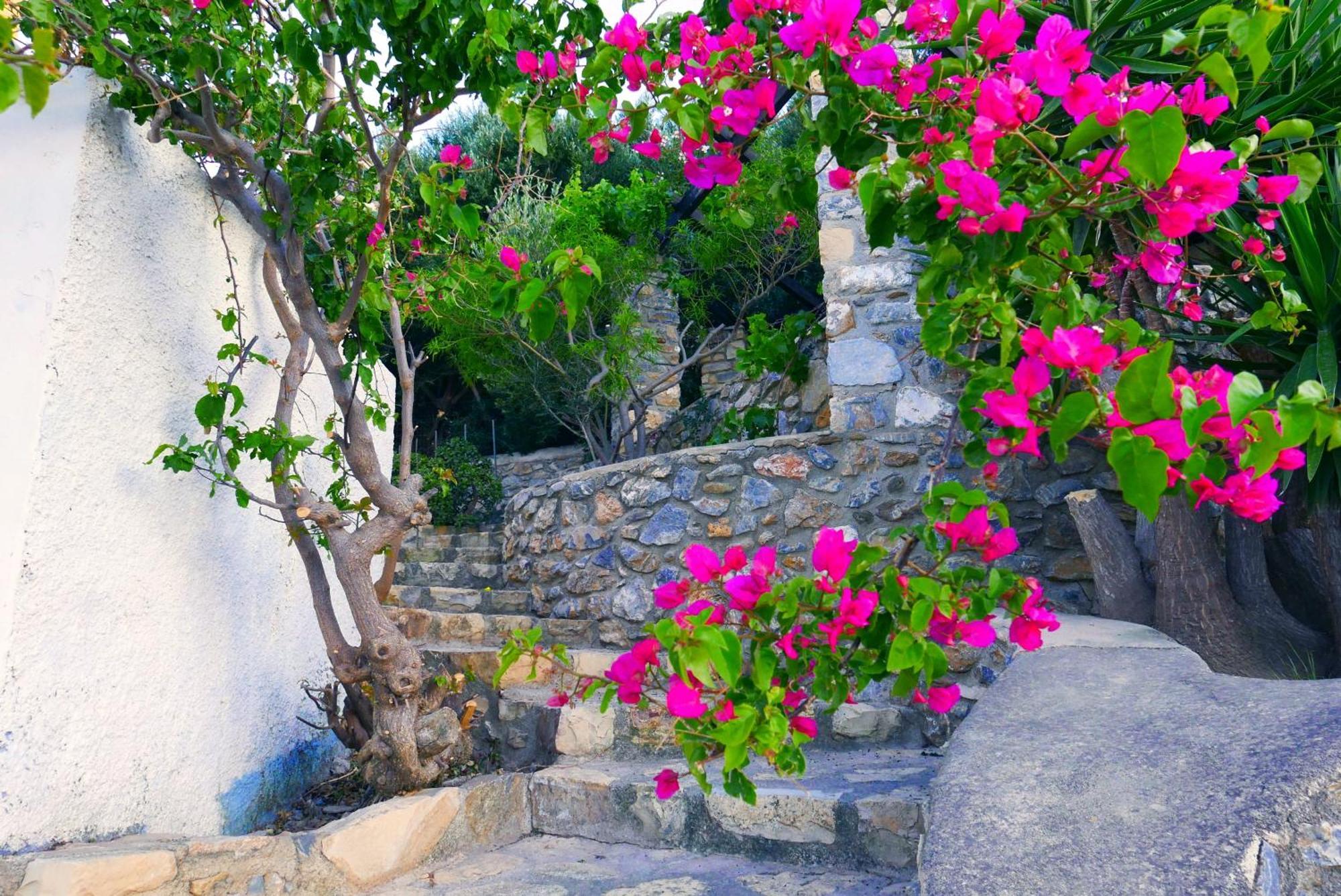 Villa Elegeo Rockhouse Agia Marina  Exterior foto